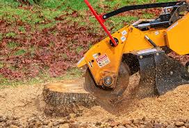 Best Soil Testing and Treatment  in Menard, TX